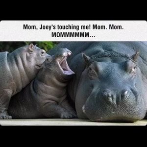 Meet your Posher, Courtney