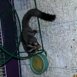 Meet your Posher, Gabby