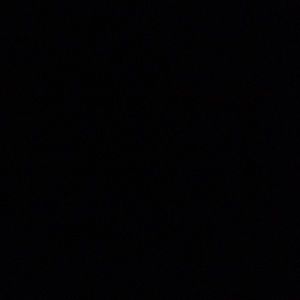 Meet your Posher, Maggie