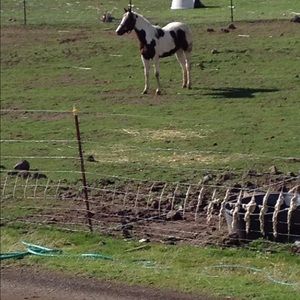 Meet your Posher, Heidi