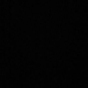 Meet your Posher, Tiana