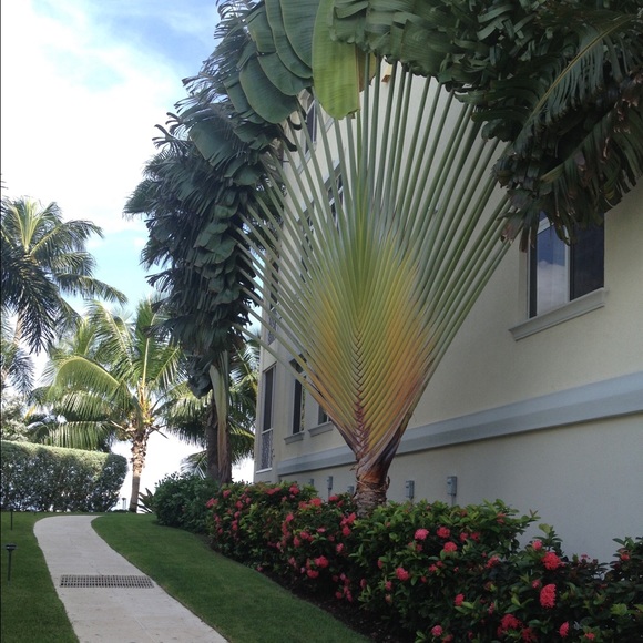 Meet your Posher, Melanie💗 - Picture 2 of 3