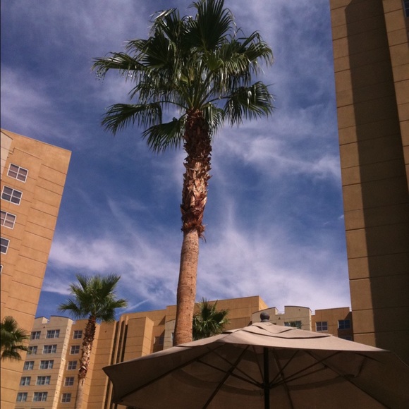 Meet your Posher, Melanie💗 - Picture 3 of 3