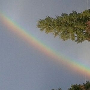 Meet your Posher, Camilla