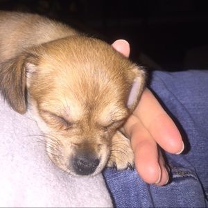 Meet your Posher, Brooke