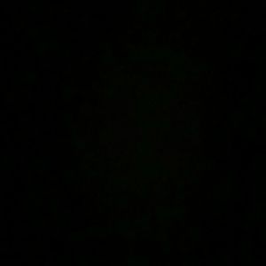 Meet your Posher, Lari