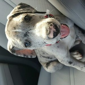 Meet your Posher, Christyna