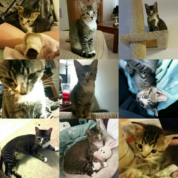 My why - Picture 2 of 4