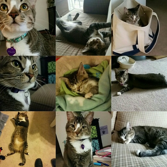 My why - Picture 3 of 4