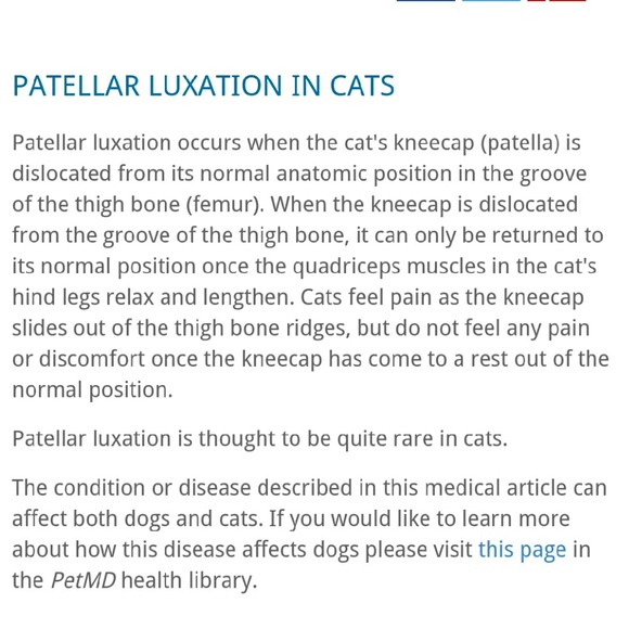 My why - Picture 4 of 4