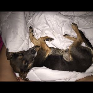 Meet your Posher, Christina