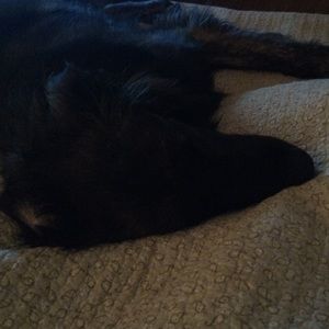 Meet your Posher, Leah