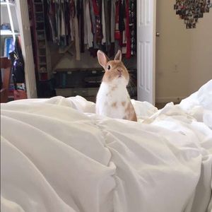 Meet your Posher, Sammy