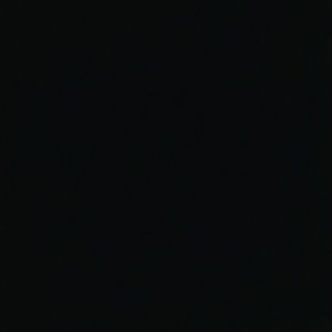 Meet your Posher, Chanel