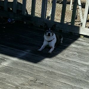 Meet your Posher, Tammy