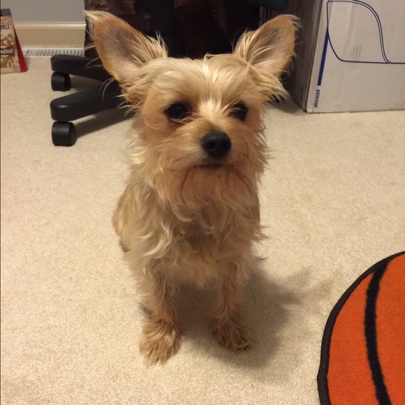 💕Meet Your Seller-Amber💕 - Picture 2 of 4