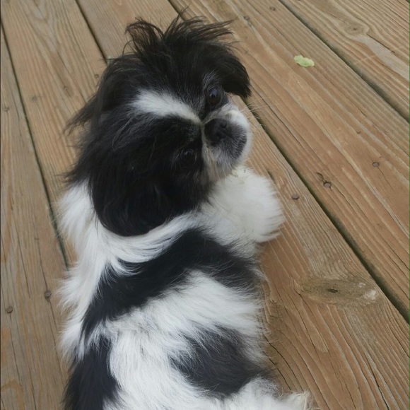 💕Meet Your Seller-Amber💕 - Picture 3 of 4