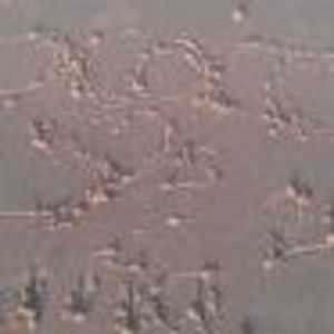 Meet your Posher, Jeffery scott