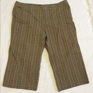 SOLD NY & Co Capris