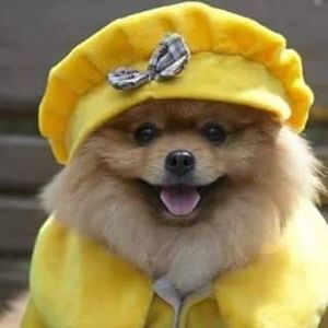 Meet your Posher, Cindy