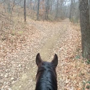 Meet your Posher, Jason