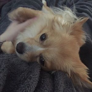 Meet your Posher, Brianna