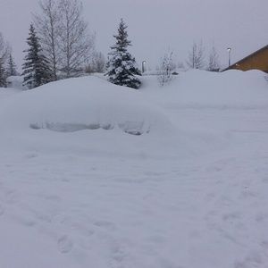 Meet your Posher, Abel