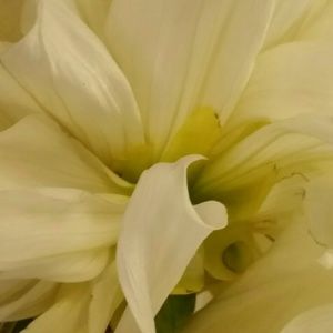 Meet your Posher, Kelli