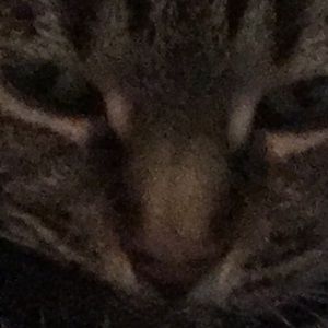 Meet your Posher, Rena