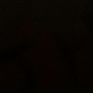 Meet your Posher, Ray