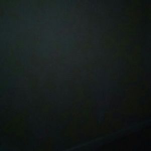 Meet your Posher, Lilia