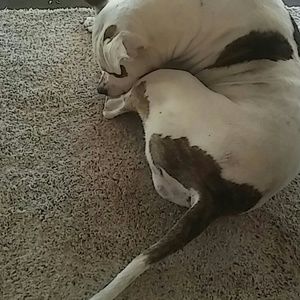 Meet your Posher, Daniele