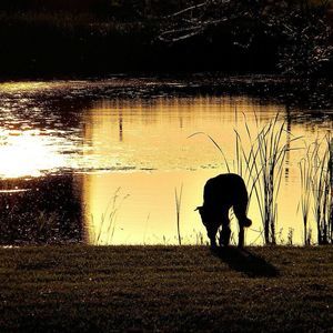 Meet your Posher, Mary jo