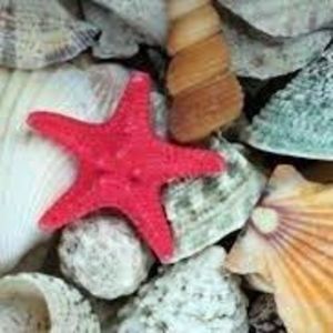 Meet your Posher, Perfecto