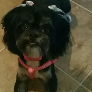 Meet your Posher, Shannen-rose