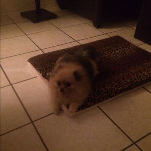 Meet your Posher, Laura