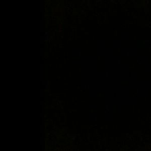 Meet your Posher, Terrie