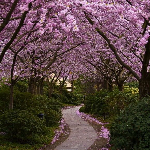 Spring cleaning!!! - Picture 2 of 2