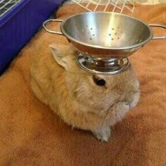 Meet your Posher, Taya