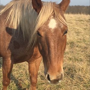 Meet your Posher, Andie