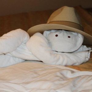 Meet your Posher, Gary