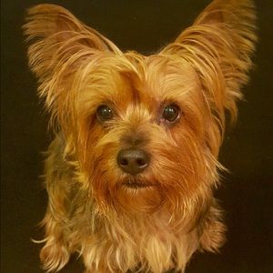 Meet your Posher, Toni