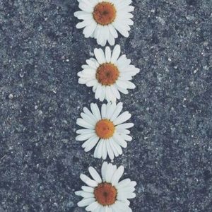 Meet your Posher, Trish