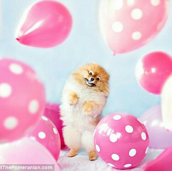 Woo..Follow Party!! :) - image 1