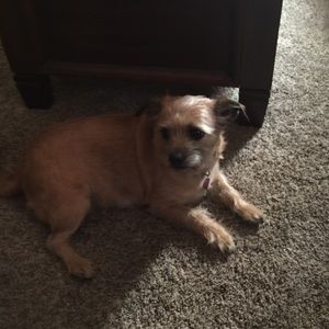 Meet your Posher, Debbie