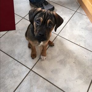 Meet your Posher, Lauren