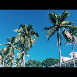 Meet your Posher, Mabel