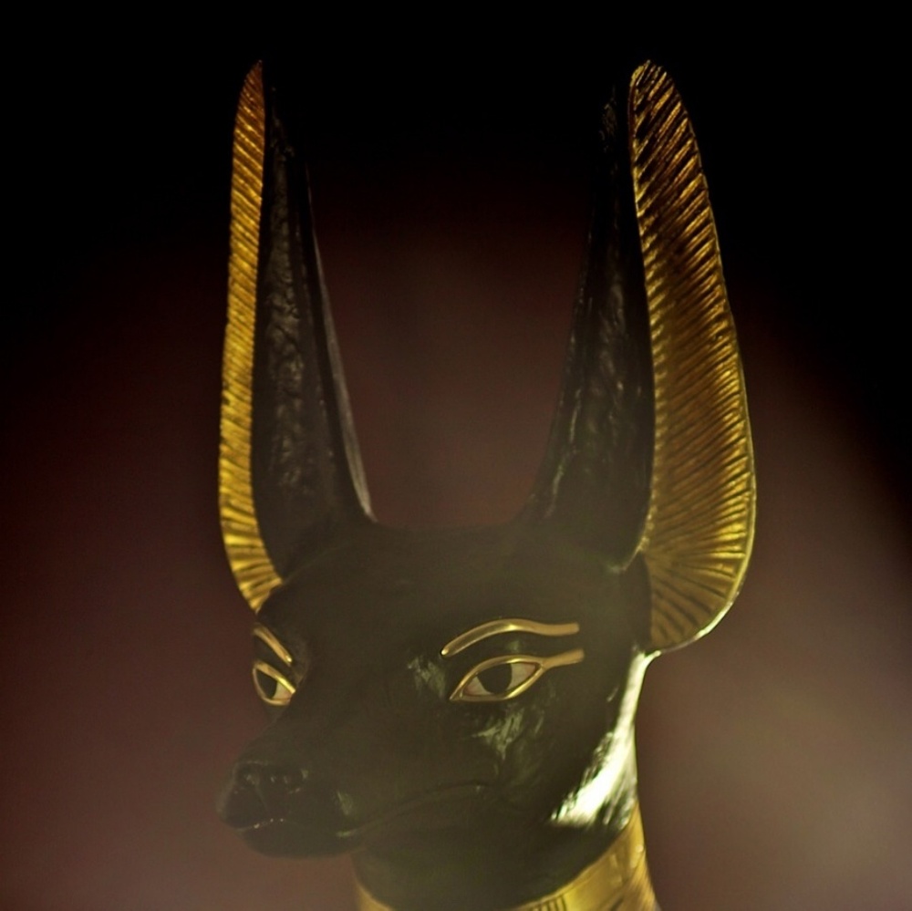 Meet your Posher, Mitzi