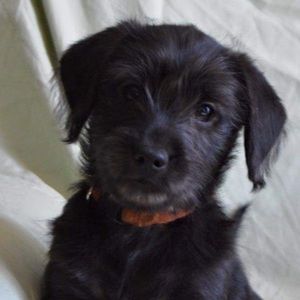 Meet your Posher, Kyleigh