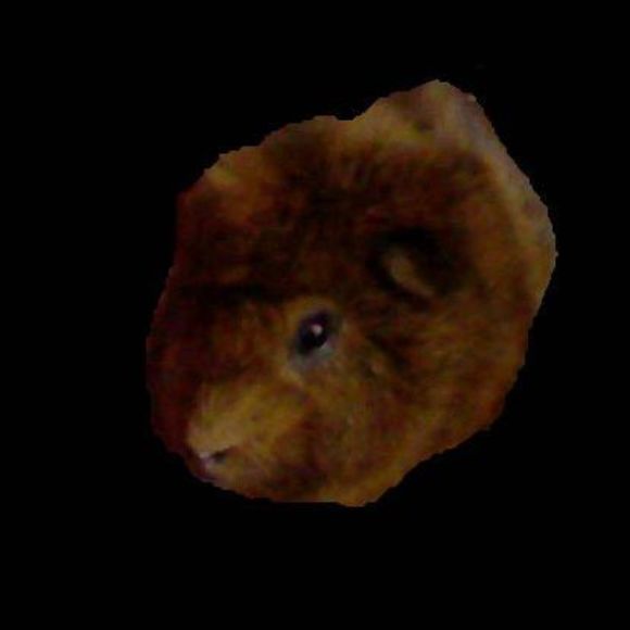 Meet your Posher, Kim